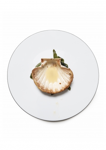 Photographies pour l’ouvrage Servez citron, recettes par Michel et César Troisgros, texte par Jean-Claude Lebensztejn