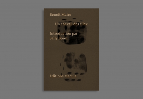 Un cheval, des silex