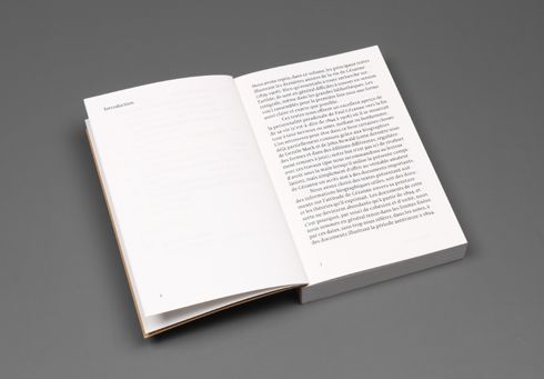 Conversations avec Cézanne